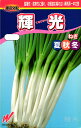 根深ネギ 種 『輝光(てるひかり)』 渡辺農事