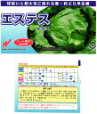 結球レタス 種 『エステス』 渡辺農事