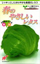 結球レタス 種 『スパーク』 渡辺農事