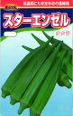 オクラ 種 『スターエンゼル』 渡辺農事