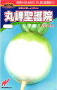 秋冬どりダイコン 種 『丸岬聖護院』 渡辺農事