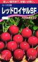 ハツカダイコン 種 『レッドロイヤルSF』 渡辺農事