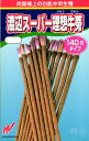 ゴボウ 種 『渡辺スーパー理想』 渡辺農事