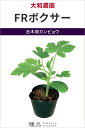 台木用カンピョウ 種 『FRボクサー』 大和農園