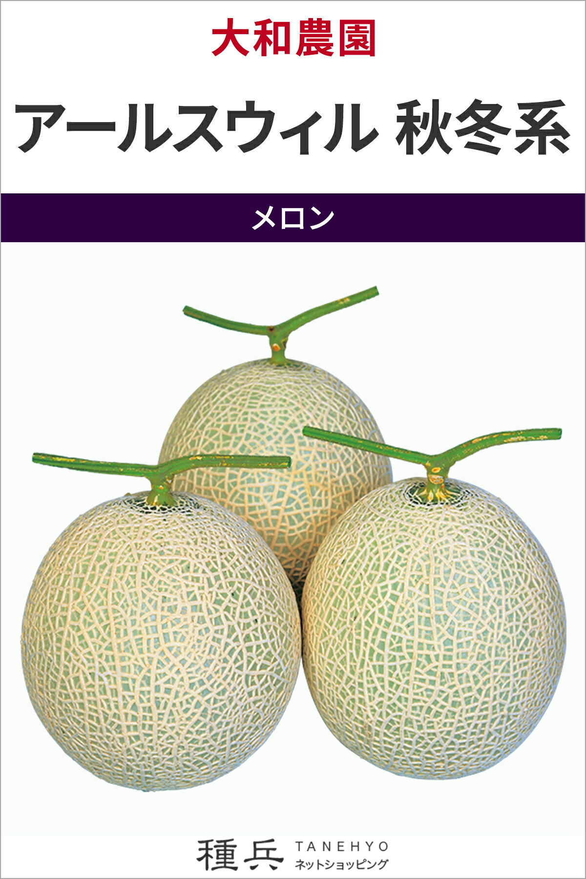 緑肉ネットメロン 種 『アールスウィル 秋冬系』 大和農園