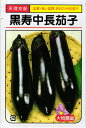 中長ナス 種 『黒寿中長』 大和農園