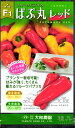 パプリカ 種 『ぱぷ丸【レッド】』 大和農園
