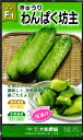 半白短形太キュウリ 種 『わんぱく坊主』 大和農園