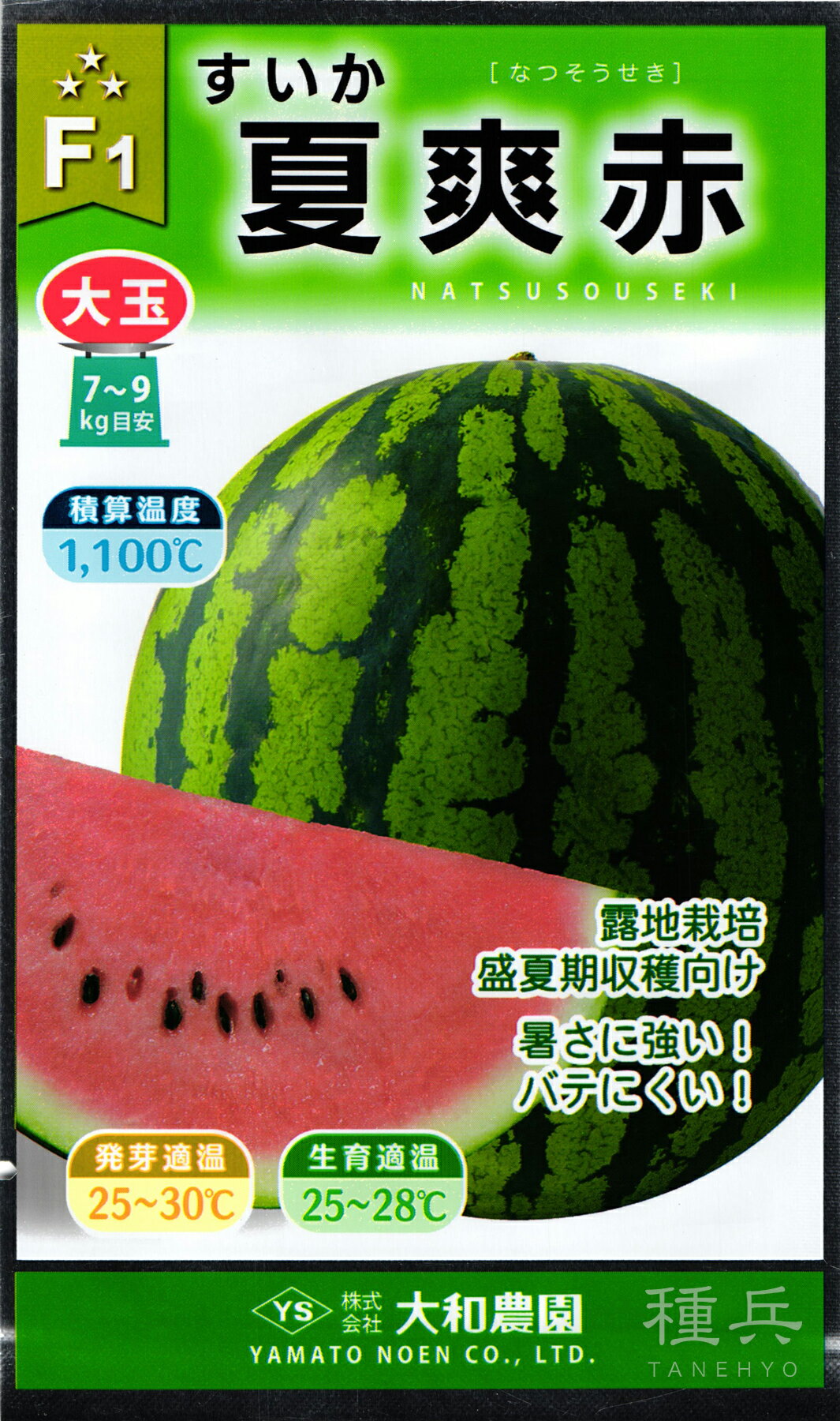 ʼͥåȥåԥ󥰤㤨̥  ز֡ פβǤʤ550ߤˤʤޤ