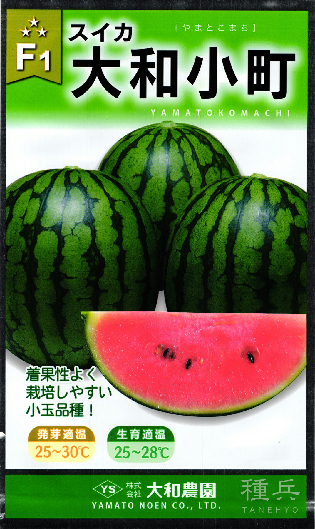 ʼͥåȥåԥ󥰤㤨־̥  ¾Į פβǤʤ550ߤˤʤޤ