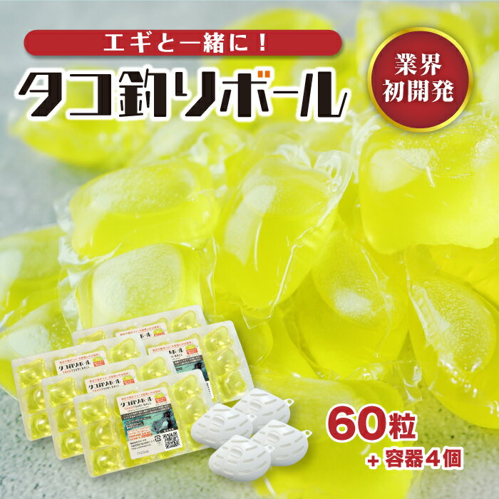 Amazon.co.jp: 【貝殻不思議発見】タカセ貝10kg詰合せ（原貝