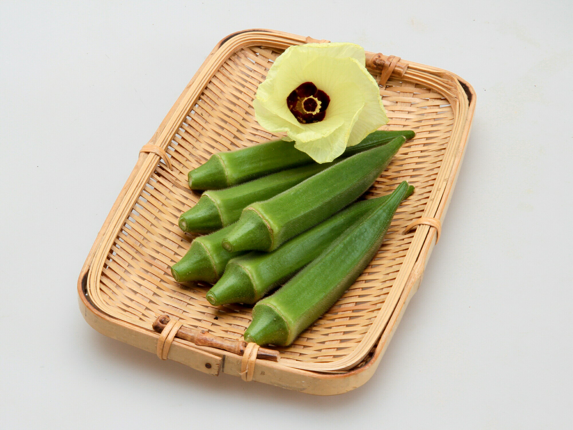 カネコ種苗　オクラ　ジョニー　1L