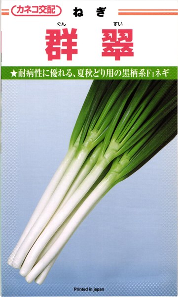 カネコ種苗 ネギ 群翠（ぐんすい）2dl