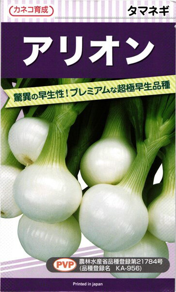 カネコ種苗 タマネギ 玉ねぎ アリオン 20ml　PVP