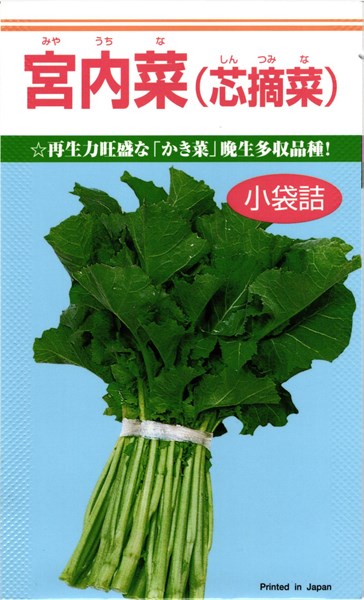 カネコ種苗 カキナ かき菜 宮内菜 20ml