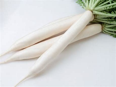 カネコ種苗 ダイコン 大根 漬ひかり 20ml