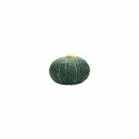カネコ種苗 カボチャ 栗姫 1000粒