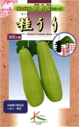 たね たね タカヤマシード 京野菜 桂うり 小袋