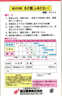 渡辺農事 キャベツ 冬の舞 小袋