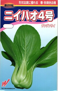 渡辺農事 チンゲンサイ 青梗菜 ニイハオ4号 コート200粒