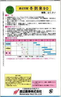 渡辺農事 ハクサイ 白菜 冬到来90 コート5000粒