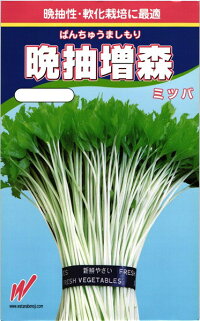 渡辺農事 ミツバ みつ葉 晩抽増森 20ml