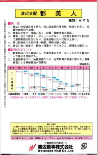渡辺農事 ミズナ 水菜 京美人(きょうびじん)10ml