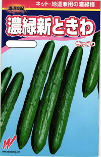 渡辺農事 キュウリ 胡瓜 濃緑新ときわ 小袋