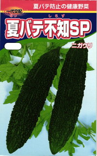渡辺農事 ニガウリ ゴーヤ 夏バテ不知SP 小袋のサムネイル