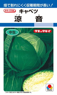 ●圃場貯蔵性にすぐれる寒玉系 適期栽培では、定植後80日程度と十分に時間をかけ収穫期に達する中生種。裂球が遅いため、圃場貯蔵性にすぐれ、計画出荷が可能。 ●肥大性・そろい性にすぐれる 生育後半まで根張りが持続するので、玉肥大が安定し、そろい性にもすぐれる。 ●形状安定性にすぐれる 上昇気温下の栽培に適する本種は、形状が扁円に安定する。また、結球がスムーズで球芯も短いので、球断面が美しく品質にすぐれる。 ●耐病性 萎黄病抵抗性で、バーティシリウム萎凋病に対しても耐病性をもつ。