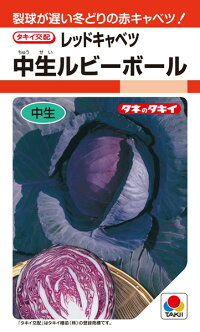 タキイ種苗 キャベツ 中生ルビーボール 2000粒