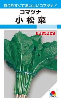 タキイ種苗 コマツナ 小松菜 1dl