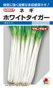 タキイ種苗 ネギ 葱 ホワイトタイガー ペレット2L5000粒