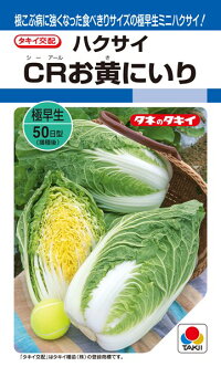 タキイ種苗 ハクサイ 白菜 CRお黄にいり ペレット 小袋5000粒