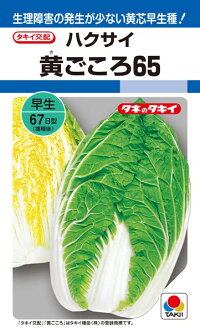 タキイ種苗 ハクサイ 白菜 黄ごころ65 ペレット 小袋