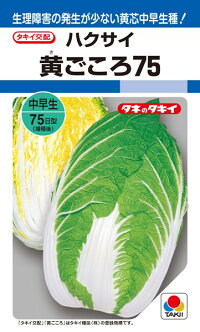 タキイ種苗 ハクサイ 白菜 黄ごころ75 RF