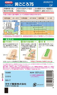 タキイ種苗 ハクサイ 白菜 黄ごころ75 DF