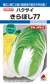 タキイ種苗 ハクサイ 白菜 きらぼし77 DF