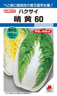 タキイ種苗 ハクサイ 白菜 晴黄60 ペレット L5000粒