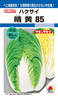 タキイ種苗 ハクサイ 白菜 晴黄85 ペレット 小袋