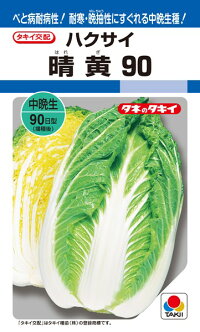 タキイ種苗 ハクサイ 白菜 晴黄90 ペレット L5000粒