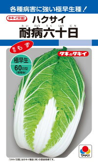 タキイ種苗 ハクサイ 白菜 耐病六十日 ペレット 小袋