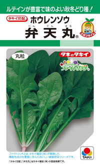 タキイ種苗 ホウレンソウ ほうれん草 弁天丸 RF