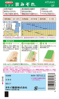 タキイ種苗 ミズナ 水菜 京みぞれ MF