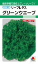 タキイ種苗 レタス グリーンウエーブ GF