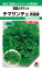 タキイ種苗 レタス チマサンチュ(青葉種)20ml 1,595円