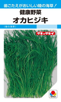 楽天種苗・園芸ショップ 種もりタキイ種苗 健康野菜 オカヒジキ（陸の海草）1L