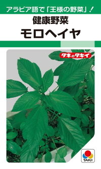 楽天種苗・園芸ショップ 種もりタキイ種苗 健康野菜 モロヘイヤ MF