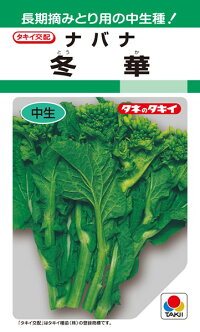 タキイ種苗 葉菜 冬華 2dl
