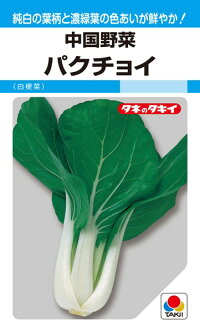 タキイ種苗 中国野菜 パクチョイ（白梗菜）1dl